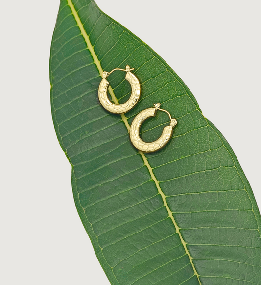 Sculpted Round Hoop Earrings