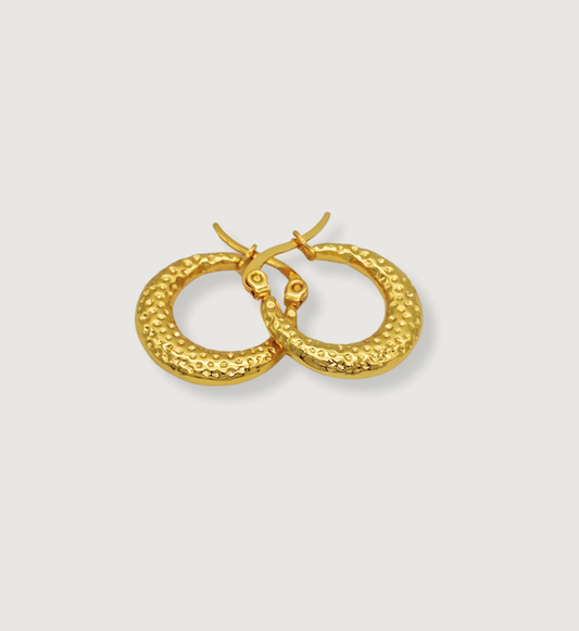 Hammered Crescent Hoop Earrings