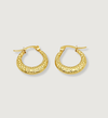 Hammered Crescent Hoop Earrings