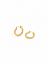 Beaded Classic Hoops