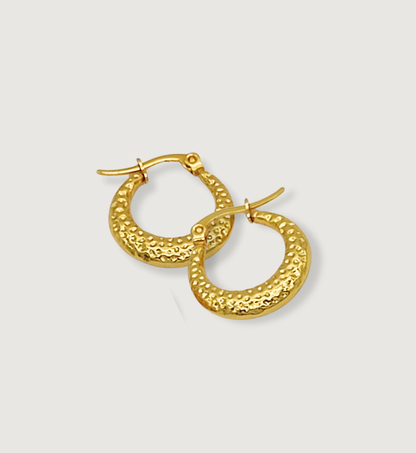 Hammered Crescent Hoop Earrings